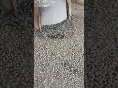 OEM ODM صناعة البوليمر مُجفف Masterbatch للصُنع بالنفخ